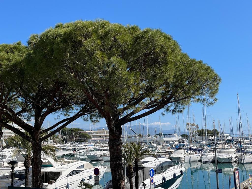 4 Pers , 100M De La Plage Marina Baie Des Anges French Riviera Villeneuve-Loubet Εξωτερικό φωτογραφία